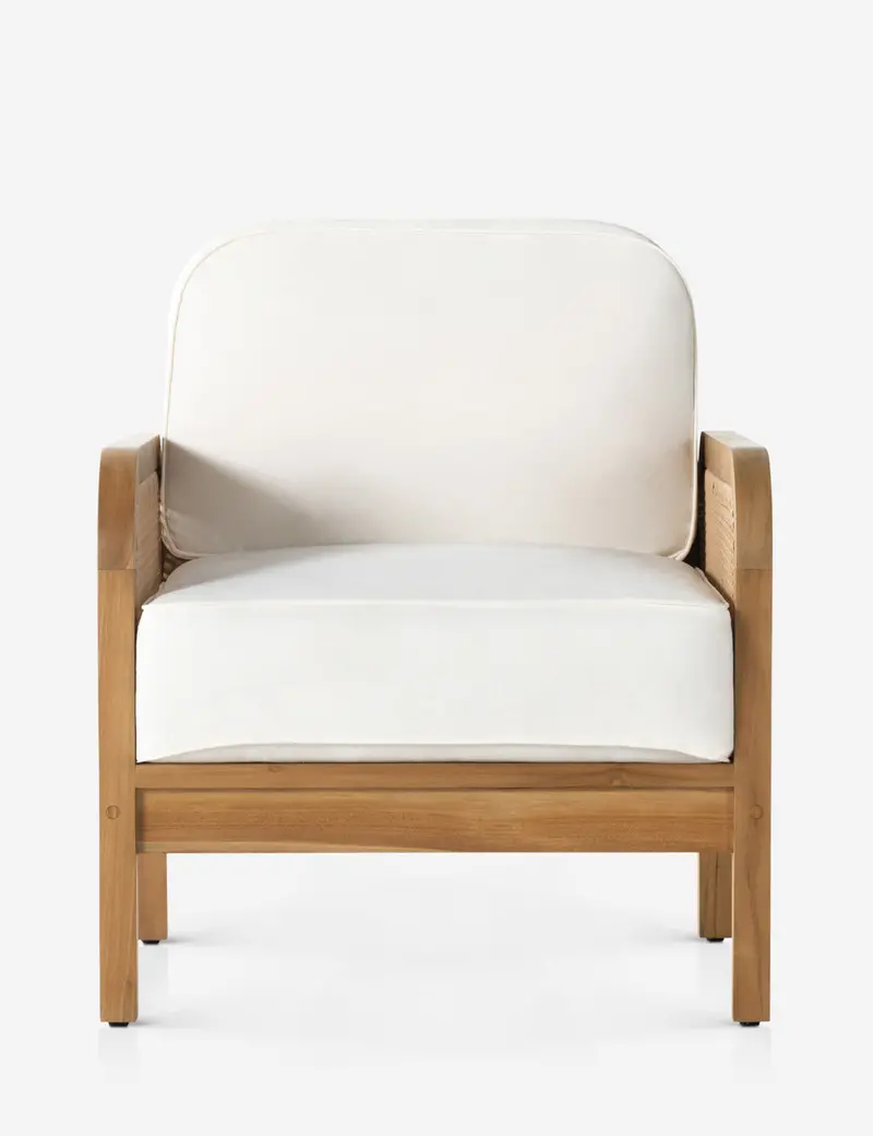 Anson Stylish Indoor-Outdoor Accent Chair 1