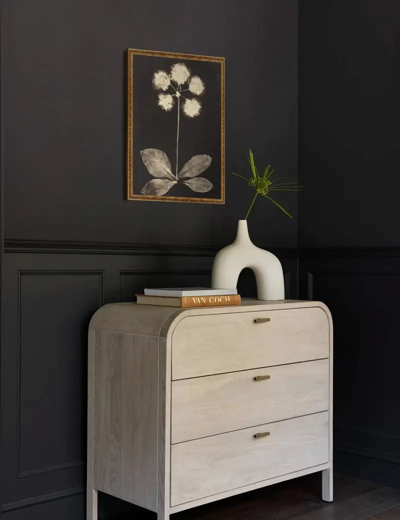 Botanical Photogram Art Print – Hand-Processed Natural Element Wall Decor 1