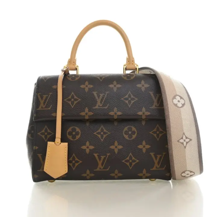 Louis Vuitton Monogram Cluny Mini Handbag 1