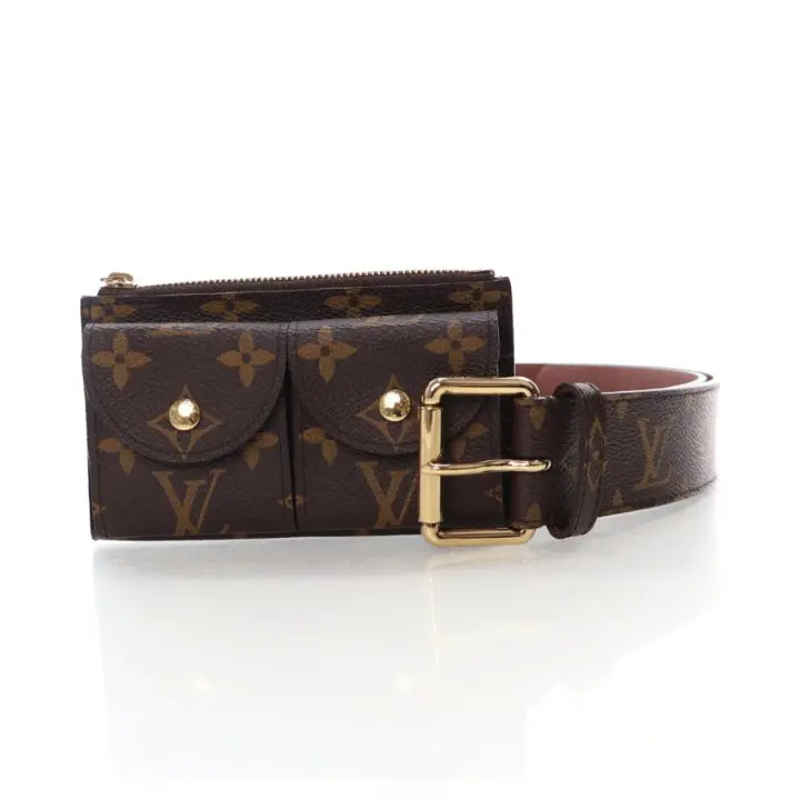 Louis Vuitton Monogram Pochette Duo Belt Bag 1