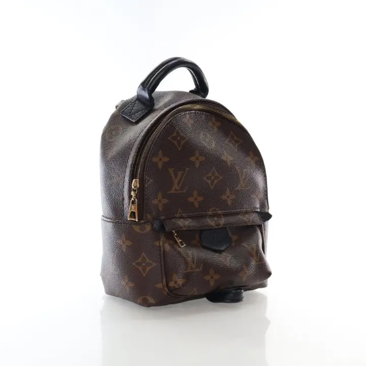 Louis Vuitton Palm Springs Mini Bag In Monogram Canvas 2