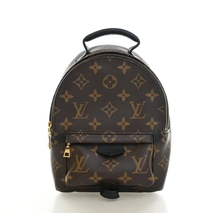 Louis Vuitton Palm Springs Mini Crossbody Bag 1