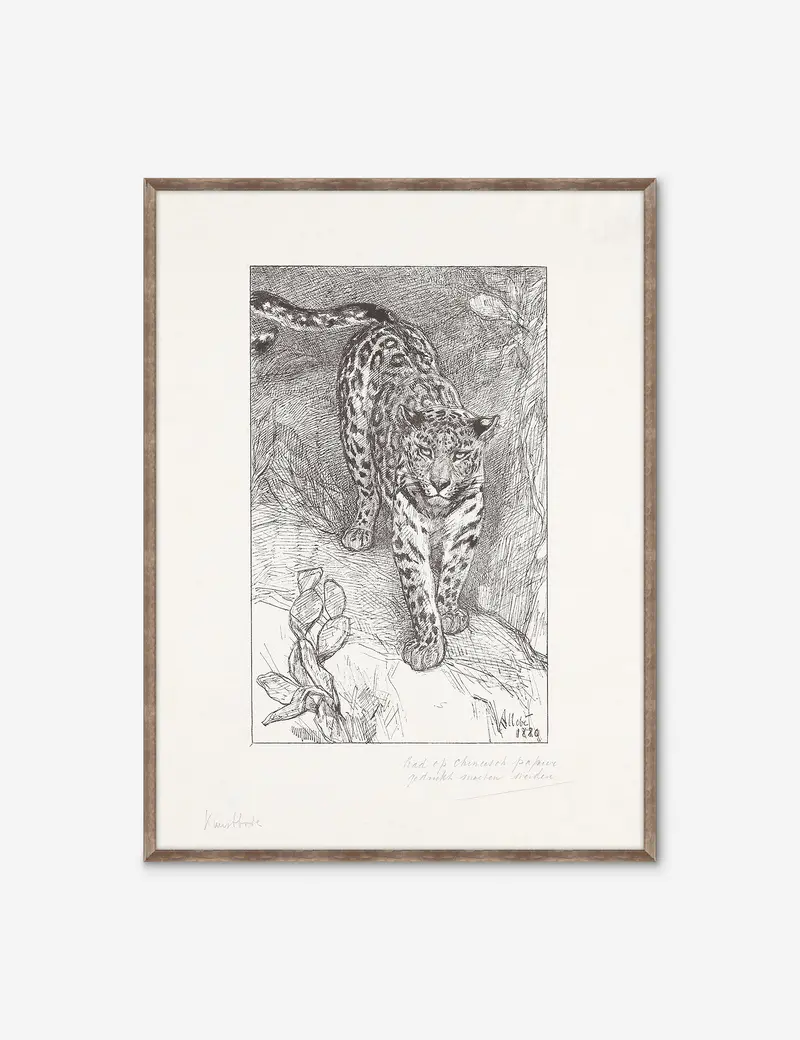 Luipaard Wildlife Art Print – Alex Zane Safari Collection 1