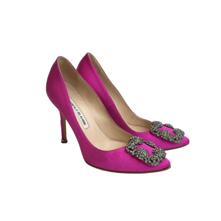 Manolo Blahnik Hangisi Pumps – Size 35 1