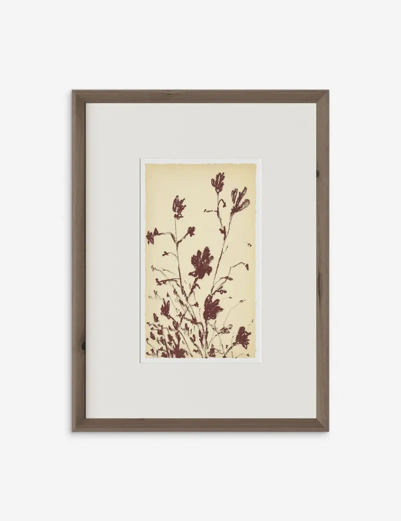 Meadow Rue No. 3 Wall Art Print – Delicate Floral Arrangement By Shaina Page 1