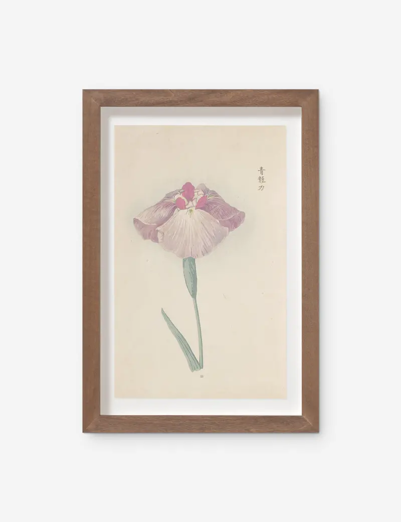 Miyoshi Manabu Japanese Iris Print No. 25 Wall Art 1