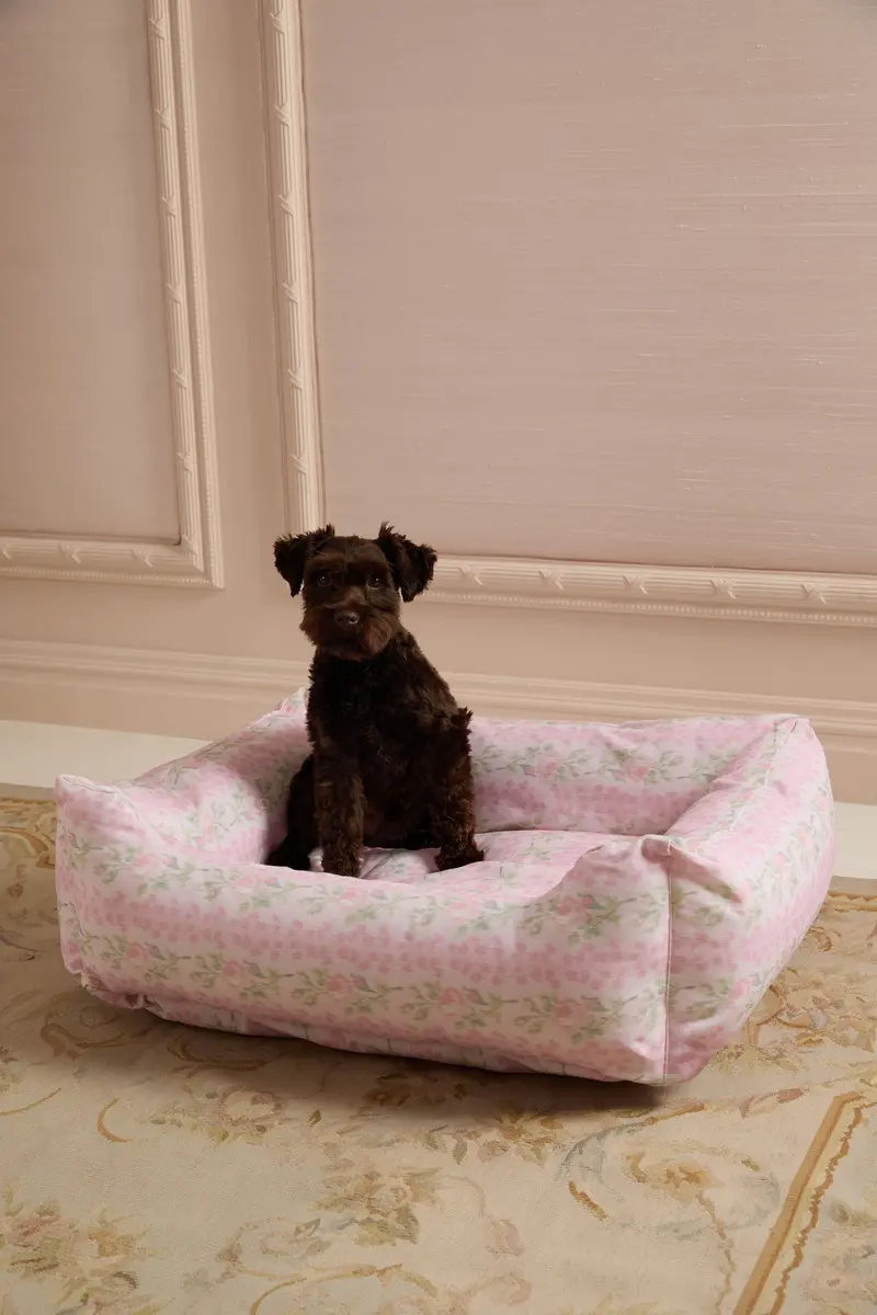 Printed Dog Bed With Supportive Fill 1