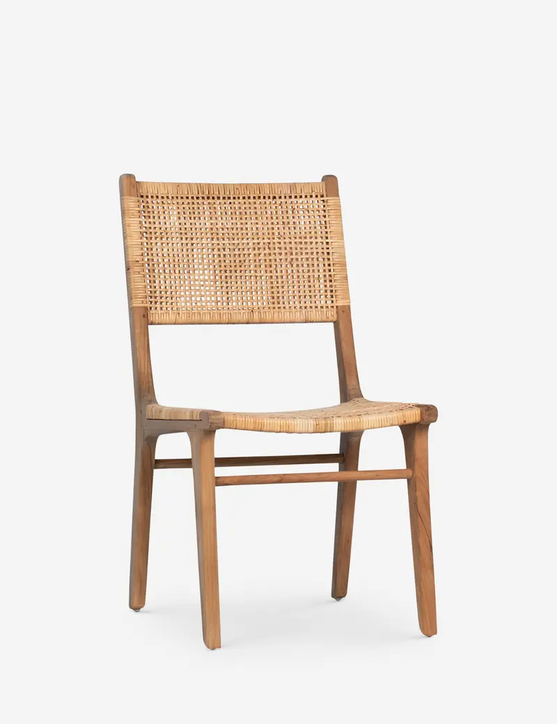 Schmidt Modern Dining Chair 1