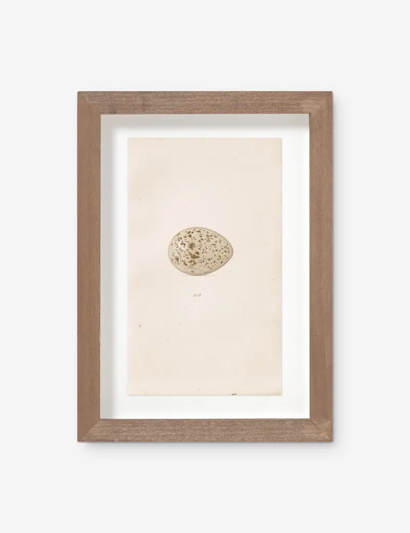 Vintage Bird Watercolor No. 305 Print By Visual Contrast 1
