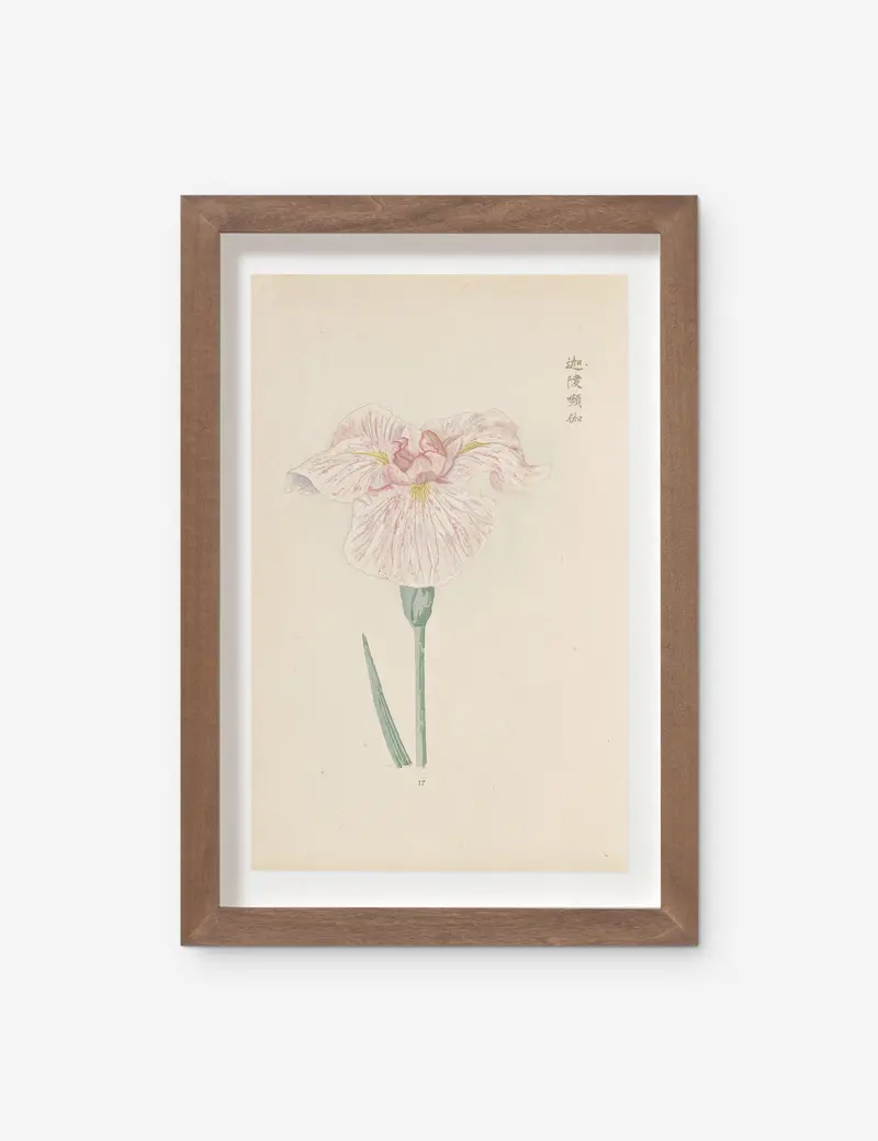 Vintage Japanese Iris No. 17 Art Print By Miyoshi Manabu 1