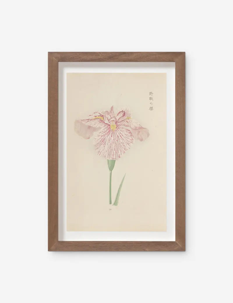 Vintage Japanese Iris No. 20 Art Print By Miyoshi Manabu 1