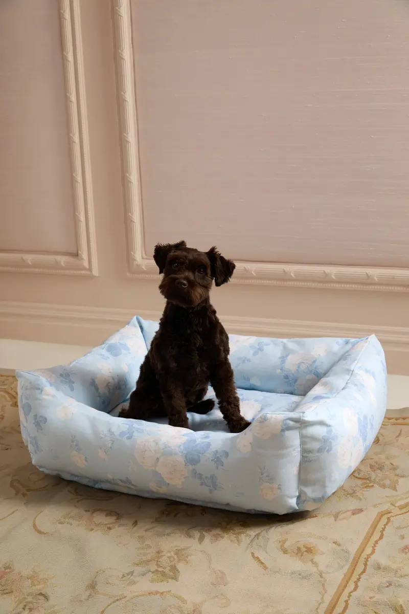 Whisper Blue Printed Dog Bed For Pets 1