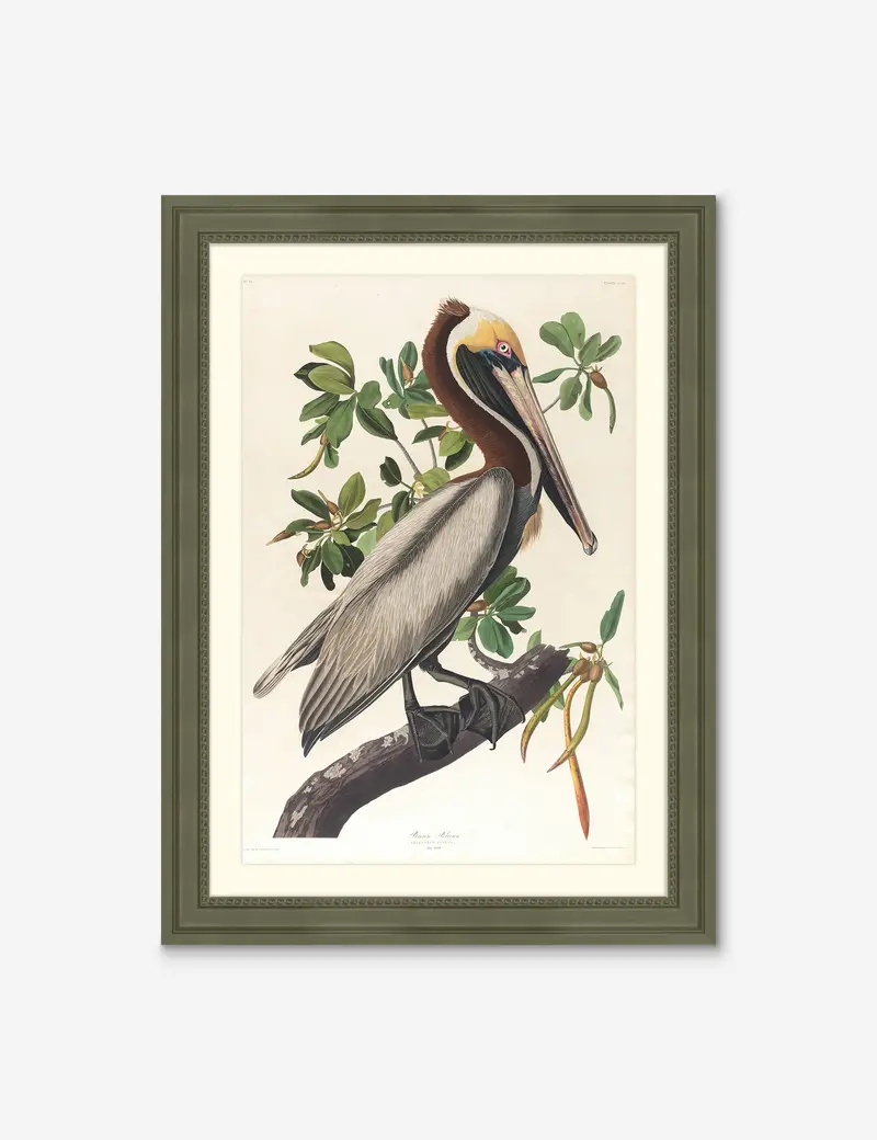 Wings Of The Wild I Avian Motif Wall Art Print By Alex Zane 1