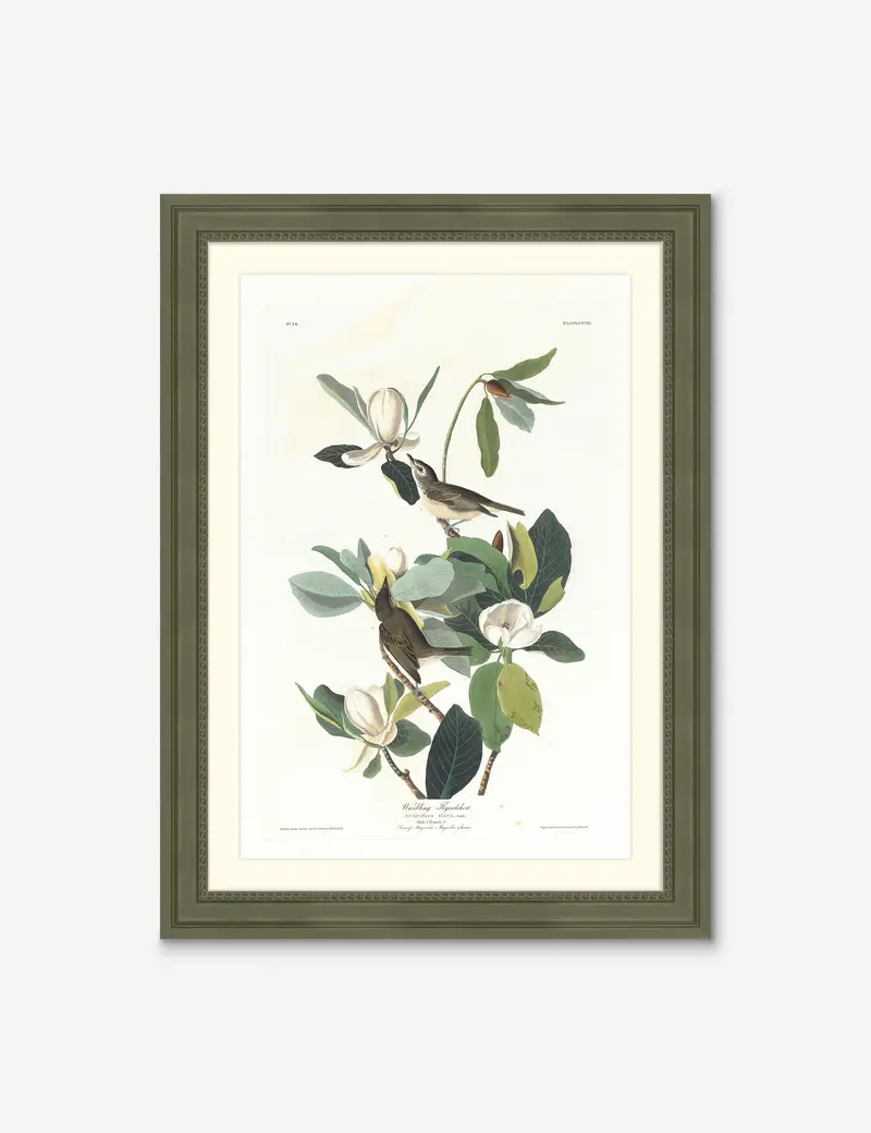 Wings Of The Wild Ii Wildlife-Themed Wall Art Print By Alex Zane 1
