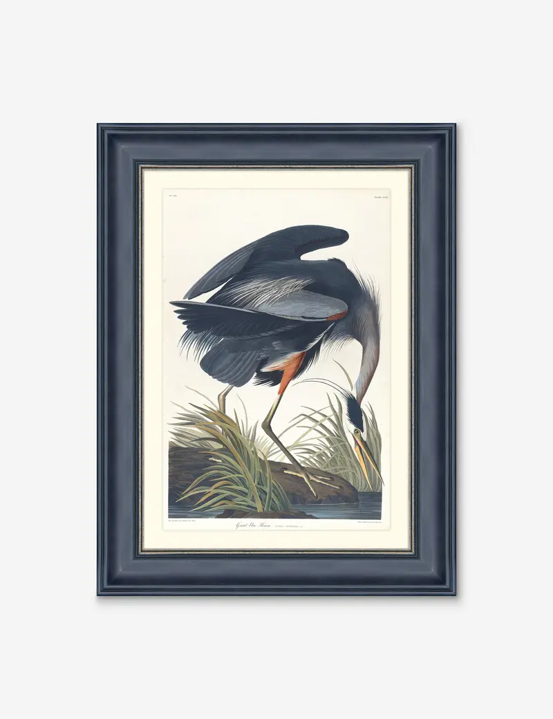 Wings Of The Wild Iii Nature-Inspired Wall Art Print By Alex Zane 1